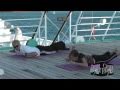 Windstar Wind Spirit Review