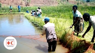 Using Fish To Build Resiliency To Food Insecurity In Malawi Using Fish To Build Resiliency To Food Insecurity In Malawi