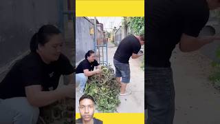 Kwai Funny Tiktok Funny Videos 2025 Chinese Funny Video