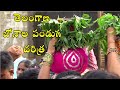 తెలంగాణ‌ బోనాల పండుగ చరిత్ర | Bonalu History In Telugu | History Of Bonalu Festival In Telugu