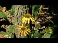 Uitzending De mooiste tuin van Limburg Hulsberg Uitzending De mooiste tuin van Limburg Hulsberg