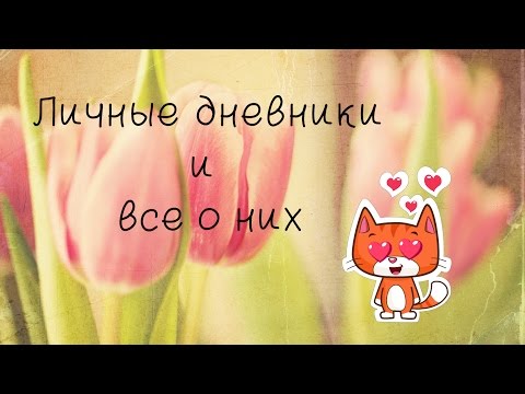 Личные дневники и все о них мастер класс Личные дневники и все о них мастер