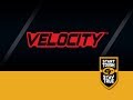 Gold Tip Velocity