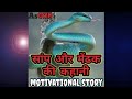 सांप और मेंढक  की कहानी। motivational story in Hindi  #short