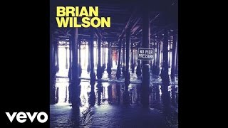 Watch Brian Wilson Saturday Night video