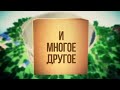 Lp. Райские похождения #7 (Создаем удобства)