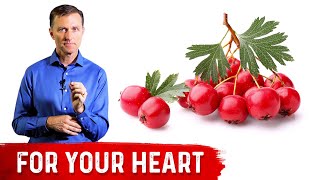 The Benefits Of Hawthorn Berry