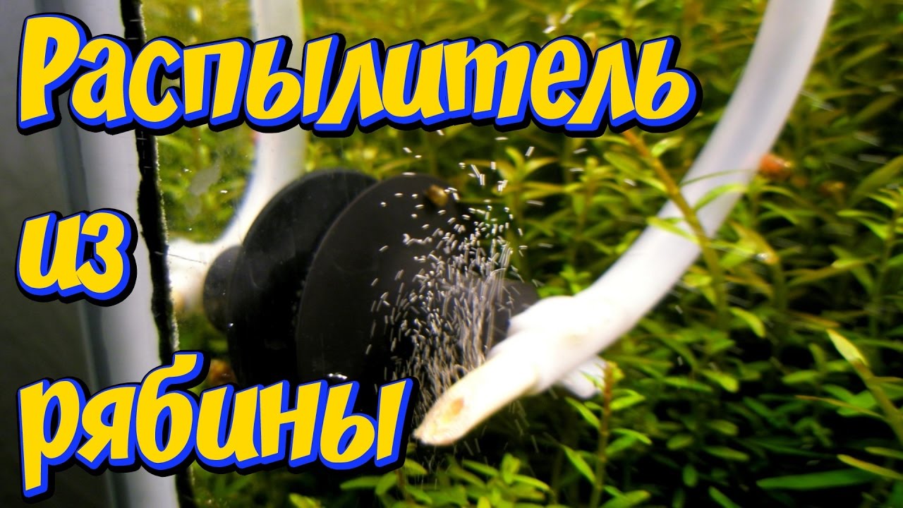 Распылитель из рябины для со2 своими руками 70