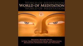 Splendor Of Meditation Splendor Of Meditation