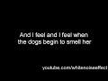 Stone Temple Pilots - Plush (with lyrics)
