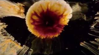 Watch Clan Of Xymox Morning Glow video