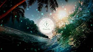 House Grooves Legs Positive Bive By T-Dog No Copyrighmusci