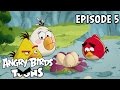 Youtube Thumbnail Angry Birds Toons | Egg Sounds - S1 Ep5