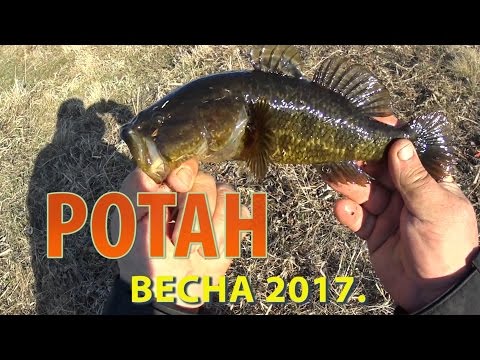 где ловить ротан где ловить ротан