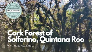 Mexico Cork Forest Exploration Tour Yucatan Peninsula