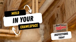 Inspections Today with Mejaro Inspection Services - Mold in Crawl
