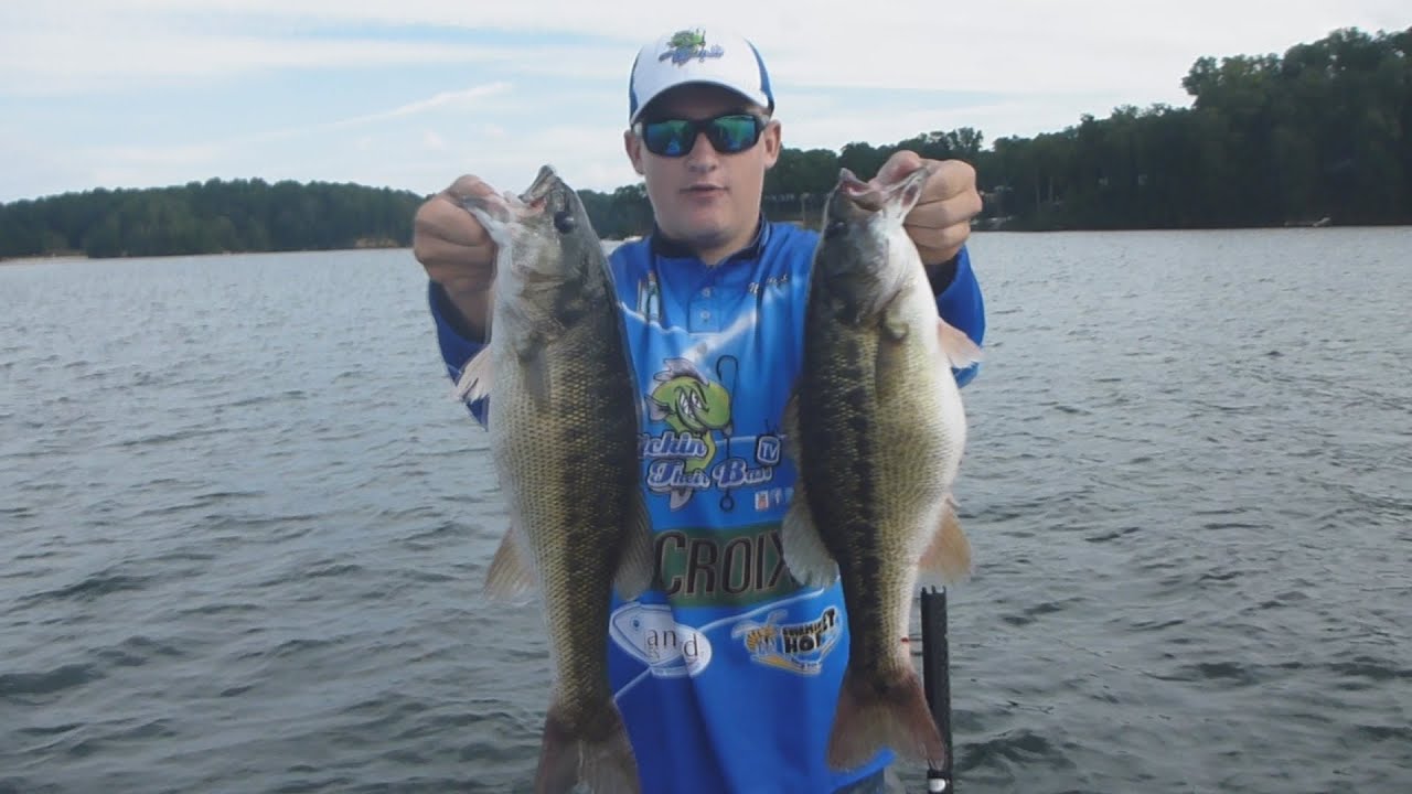 Lake lanier strip bass record