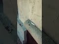 Intentos Video preview