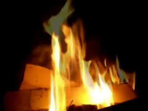 Альбиция из бисера схема плетения Альбиция из бисера схема плетения