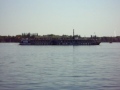 Fuechslein61