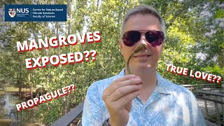 20 Qs for U: A Conversation with the Mangrove Man