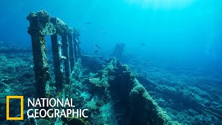 Морские Глубины Вместе С National Geographic Документальный Фильм  National Geographic 2021 Full Hd