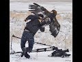 Top 5 Best Eagle Attacks On Human - HD