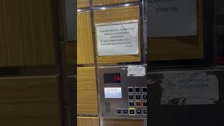 Galerimdeki Epik Fidyo 33