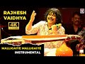 Rajhesh Vaidhya - Malligaiye Malligaiye | 4K Video Song | Instrumental | Tamil Music Video