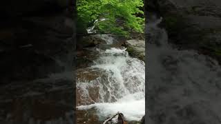 Relaxing Nature Ambience | Shamanic Flute By @Doczky