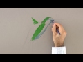 How to Draw a Hummingbird With Color Pencils