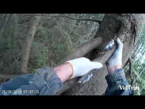 бродячие рои ловля видео бродячие рои ловля видео