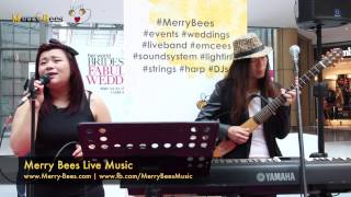 Merry Bees Live Music - Thinking Out Loud (Ed Sheeran cover)