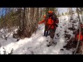 Colorado Elk Hunt