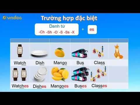 TIẾNG ANH 4 - BÀI 8 - TUẦN 21 - Danh từ đếm được và không đếm được Countable, Uncountable nouns