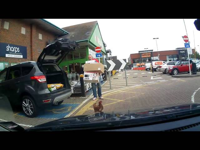 Surprise Chicken in the Car Trunk -