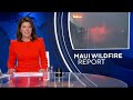 New report highlights Maui County mayor in botched wildfire response