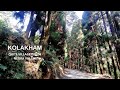 Kolakham , Quite Picturesque  Village inside Neora Valley National Park, Kalimpong