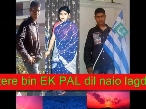Tera Dilbar Tera Sathi Le Ayega Dholi Barati.wmv