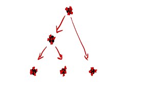 Phylogenetische Rekonstruktion