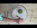 Mini Zen Garden - Creative Ideas for Urban Outdoor Spaces - YouTube