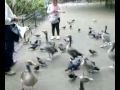 Stroll in St James - yes it's really like this Video