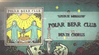 Watch Polar Bear Club Upstate Mosquito video