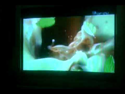 Cewek Hot Videos | Cewek Hot Video Codes | Cewek Hot Vid Clips