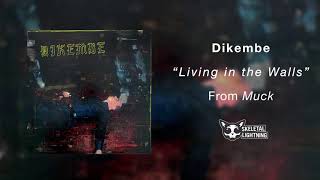 Watch Dikembe Living In The Walls video