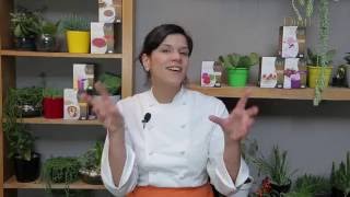 Receitas Criativas Dietkal com a Chef Vivi Araújo