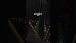 Whatsapp Ucun Sevgiyə Aid Maraqlı Statuslar Sounds App Mahnı Status Ucun Video Qısa