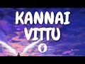 | Kannai Vittu  ( Lyric Video ) | Iru Mugan | Butter Skotch |