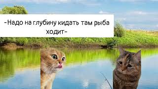 Мем Два Кота Разговаривают  #Мем #Коты