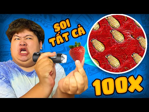 PHÁT HIỆN KINH HOÀNG TRONG DÂU TÂY - SOI MỌI THỨ dưới kính hiển vi (Mazk Phá Phách #121)